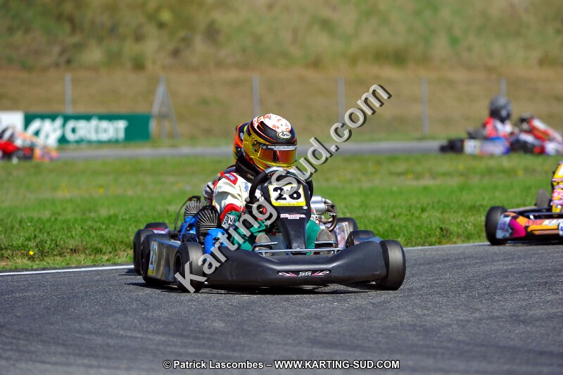 DSC_ (1324).jpg
